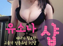 오피스타 | [역삼건마-유소나1인샵]