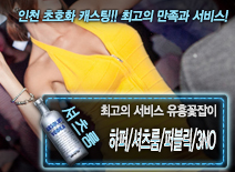 오피스타 | [하퍼/셔츠룸/퍼블릭/3NO-유흥꽃잡이]