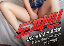 오피스타 | [고양휴게텔-도파민]