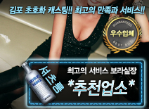 오피스타 | [*추천업소*-보라실장]