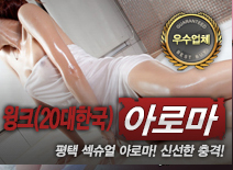 오피스타 | [평택건마-윙크(20대한국)]