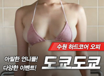 오피스타 | [수원오피-도쿄도쿄]