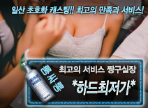 오피스타 | [*하드최저가*-짱구실장]